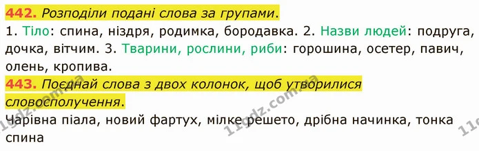 442. Розподіли подані слова за групами. — ГДЗ Українська мова 5 клас Онатій