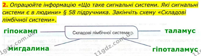 2. Опрацюйте інформацію «Що таке сигнальні системи. Які сигнальні системи є в людини» § 58 підручника. Закінчіть схему «Складові — ГДЗ Робочий зошит Біологія 8 клас Кулініч