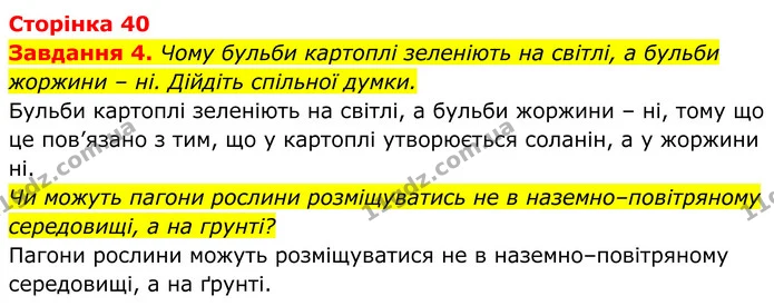 4. Чому бульби картоплі зеленіють на світлі, а бульби жоржини – ні. Дійдіть спільної думки. — ГДЗ Робочий зошит Біологія 7 клас Мирна 2024