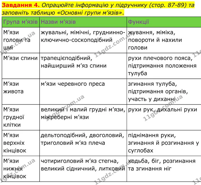 Стор. 44 — 4 (2) — ГДЗ Робочий зошит біологія 8 клас Мирна — ГДЗ Робочий зошит біологія 8 клас Мирна