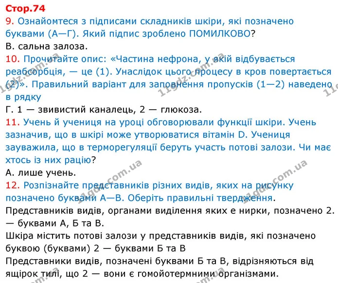 9. Ознайомтеся з підписами складників шкіри, які позначено буквами (А—Г). Який підпис зроблено ПОМИЛКОВО? — ГДЗ робочий зошит Біологія 8 клас Андерсон