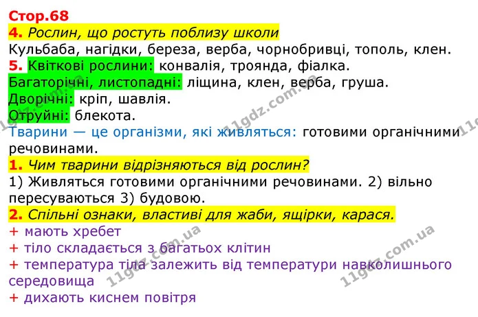 4. Рослин, що ростуть поблизу школи — ГДЗ Робочий зошит Природознавство 5 клас Коршевнюк