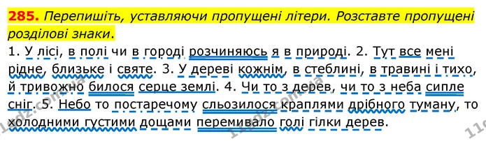 285. Перепишіть, уставляючи пропущені літери. Розставте пропущені розділові знаки. — ГДЗ Українська мова 8 клас Глазова О.П. 2021
