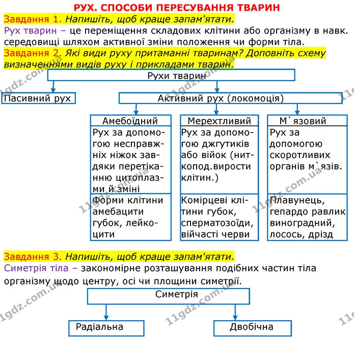 Стор. 70 — 1-3 — ГДЗ Робочий зошит з Біології 7 клас Яременко — ГДЗ Робочий зошит з Біології 7 клас Яременко