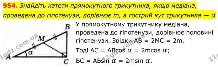 954. Знайдіть катети прямокутного трикутника, якщо медіана, проведена до гіпотенузи, дорівнює m, а гострий кут трикутника — α — ГДЗ Геометрія 8 клас Бурда