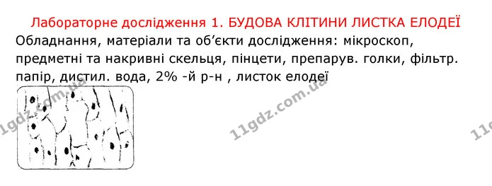 Стор. 12 — 2 — ГДЗ Робочий зошит Біологія 6 клас Соболь — ГДЗ Робочий зошит Біологія 6 клас Соболь