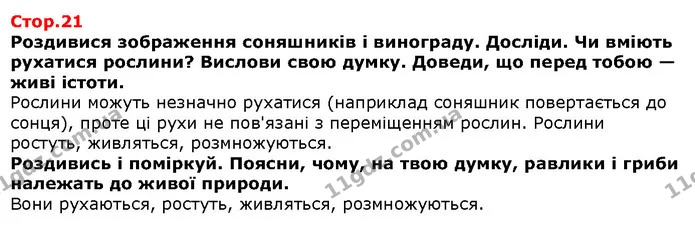 Роздивися зображення соняшників і винограду. Досліди. Чи вміють рухатися рослини? Вислови свою думку. Доведи, що перед тобою — живі — Решебник Я досліджую світ 1 клас Грущинська