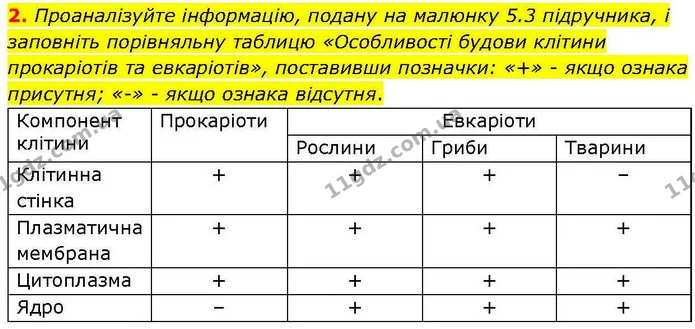 2. Проаналізуйте інформацію, подану на малюнку 5.3 підручника, і заповніть порівняльну таблицю «Особливості будови клітини прокаріотів — ГДЗ робочий зошит Біологія 7 клас Кулініч