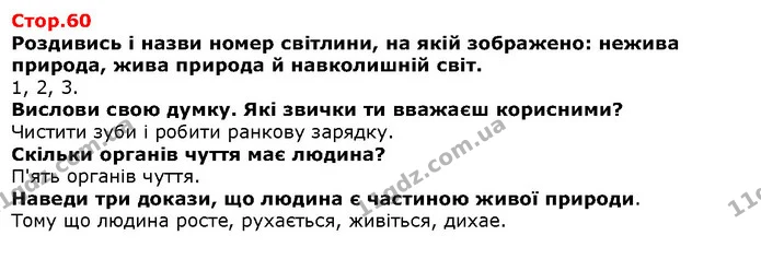 Роздивись і назви номер світлини, на якій зображено: нежива природа, жива природа й навколишній світ. — Решебник Я досліджую світ 1 клас Грущинська