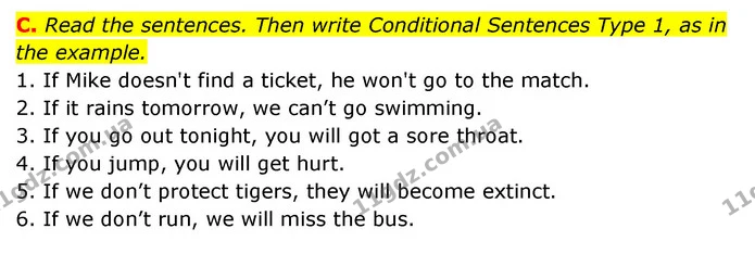 C. Read the sentences. Then write Conditional Sentences Type 1, as in the example. — ГДЗ Робочий зошит Англійська мова 6 клас Мітчелл