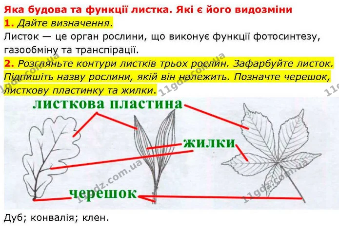 1. Дайте визначення. — ГДЗ робочий зошит Біологія 7 клас Кулініч