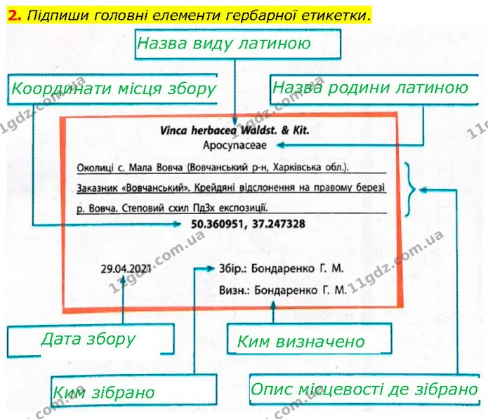 2. Підпиши головні елементи гербарної етикетки. — ГДЗ робочий зошит Біологія 7 клас Тагліна