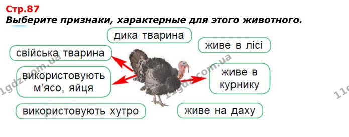 Выберите признаки, характерные для этого животного. — ГДЗ Я исследую мир 1 класс Гильберг