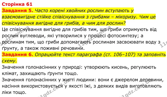 5. Часто корені хвойних рослин вступають у взаємовигідне стійке співіснування з грибами – мікоризу. Чим це співіснування вигідне для — ГДЗ Робочий зошит Біологія 7 клас Мирна 2024