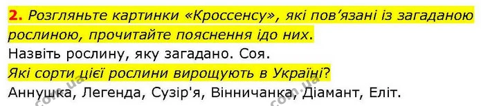 2. Розгляньте картинки «Кроссенсу», які пов’язані із загаданою рослиною, прочитайте пояснення ідо них. — ГДЗ робочий зошит Біологія 7 клас Кулініч