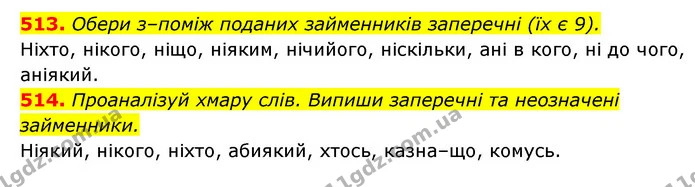 513. Обери з–поміж поданих займенників заперечні (їх є 9). — ГДЗ Українська мова 6 клас Онатій