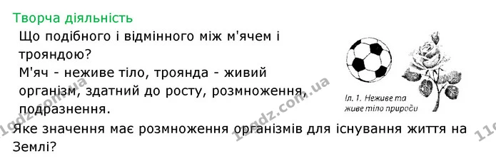 Стор. 5 — 2 — ГДЗ Робочий зошит Біологія 6 клас Соболь — ГДЗ Робочий зошит Біологія 6 клас Соболь
