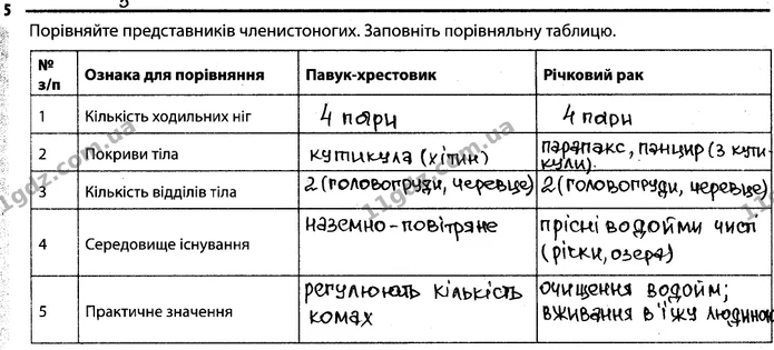5. Порівняйте представників членистоногих. Заповніть порівняльну таблицю. — ГДЗ Робочий зошит Біологія 7 клас Задорожний