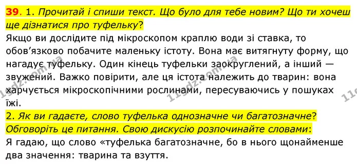 39. 1. Прочитай і спиши текст. Що було для тебе новим? Що ти хочеш ще дізнатися про туфельку? — ГДЗ Українська мова та читання 3 клас Кравцова (1 частина)