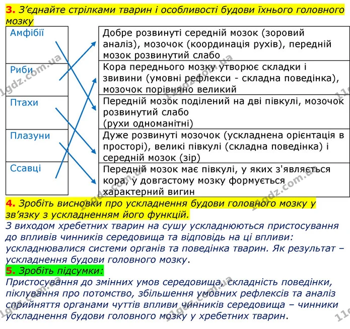 Стор. 77 — 3-5 — ГДЗ Робочий зошит з Біології 7 клас Яременко — ГДЗ Робочий зошит з Біології 7 клас Яременко