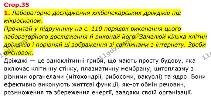 1. Лабораторне дослідження хлібопекарських дріжджів під мікроскопом. Прочитай у підручнику на с. 110 порядок виконання цього — ГДЗ робочий зошит Біологія 7 клас Тагліна