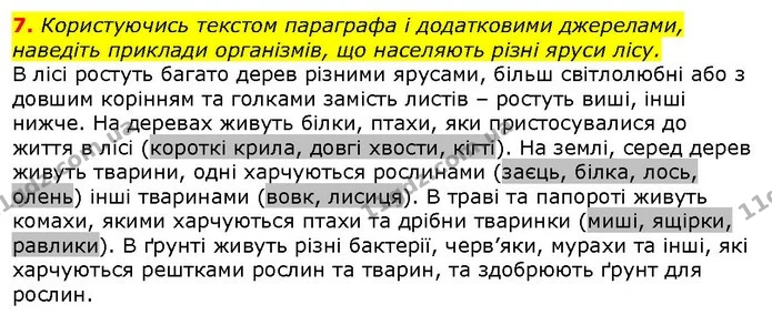 7. Користуючись текстом параграфа і додатковими джерелами, наведіть приклади організмів, що населяють різні яруси лісу. — ГДЗ Природознавство 5 клас Ярошенко