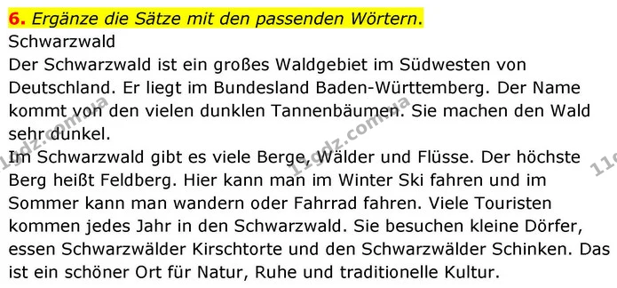 6. Ergänze die Sätze mit den passenden Wörtern. — ГДЗ робочий зошит Німецька мова 8 клас Басай