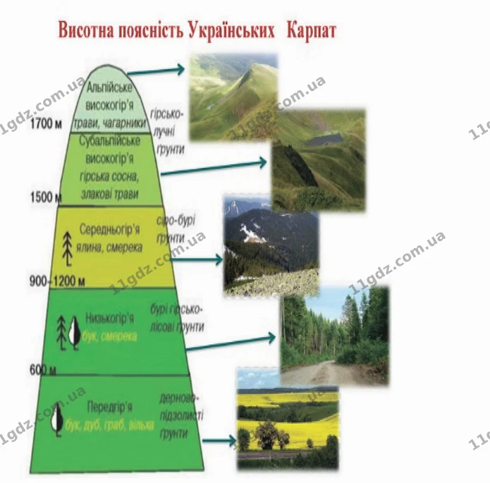 Стор. 151 — Стр.151 (2.2) — ГДЗ Я досліджую світ 4 клас Гільберг 1-2 ч. — ГДЗ Я досліджую світ 4 клас Гільберг 1-2 ч.