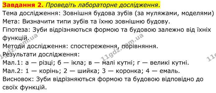 Стор. 54 — 2 (2) — ГДЗ Робочий зошит біологія 8 клас Мирна — ГДЗ Робочий зошит біологія 8 клас Мирна