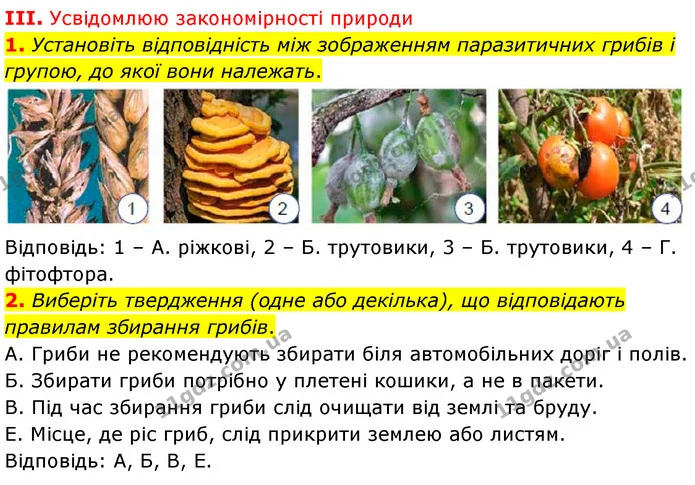 Стор. 288 — Стр.288 (3.1-2) — ГДЗ Біологія 7 клас Балан — ГДЗ Біологія 7 клас Балан