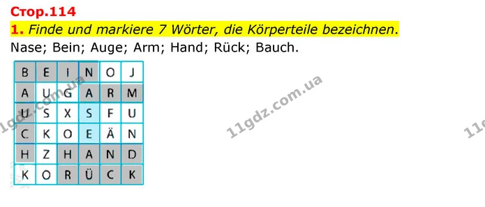 1. Finde und markiere 7 Wörter, die Körperteile bezeichnen. — ГДЗ Німецька мова 6 клас Сотникова 2 рік (2023)