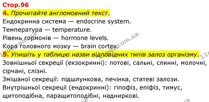 1. Розгляньте малюнок. Позначте й підпишіть такі залози ендокринної системи людини: підшлункова залоза; надниркові залози; щитоподібна — ГДЗ Робочий зошит Біологія 8 клас Тагліна (2025)