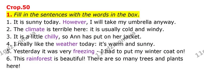 1. Fill in the sentences with the words in the box. — ГДЗ Робочий зошит Англійська мова 5 клас Карпюк