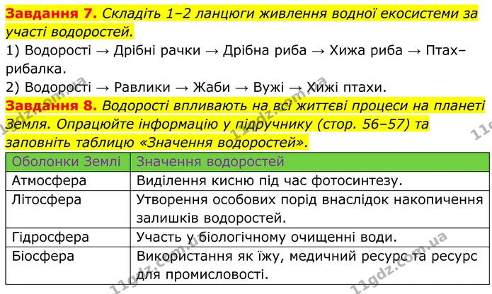 7. Складіть 1–2 ланцюги живлення водної екосистеми за участі водоростей. — ГДЗ Робочий зошит Біологія 7 клас Мирна 2024