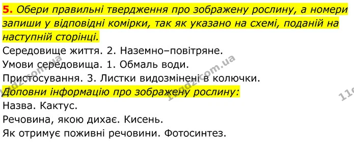 4. Визнач правильні твердження і познач їх знаком «+» у комірці поруч. Усно виправ помилки в неправильних твердженнях. — ГДЗ робочий зошит Пізнаємо природу 5 клас Коршевнюк