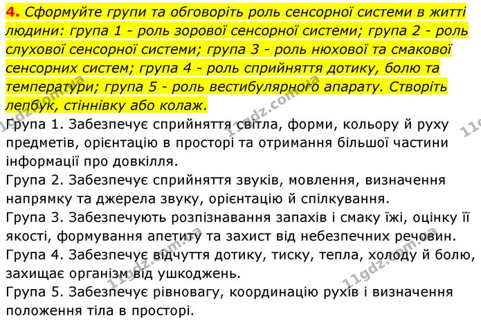 4. Сформуйте групи та обговоріть роль сенсорної системи в житті людини: група 1 - роль зорової сенсорної системи; група 2 - роль — ГДЗ Робочий зошит Біологія 8 клас Кулініч