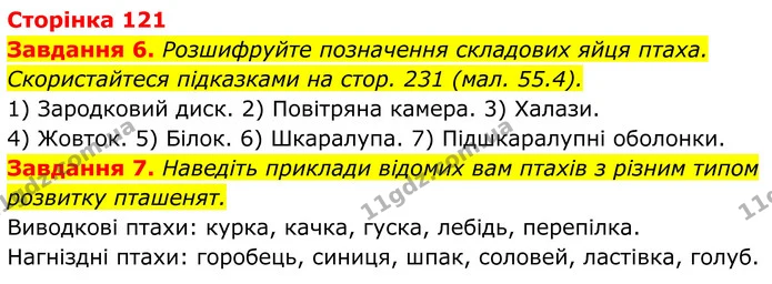 6. Розшифруйте позначення складових яйця птаха. Скористайтеся підказками на стор. 231 (мал. 55.4). — ГДЗ Робочий зошит Біологія 7 клас Мирна 2024