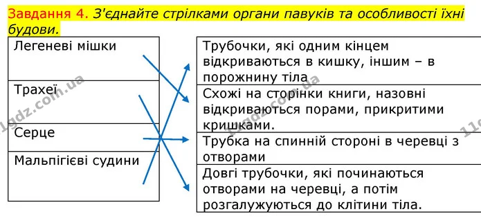 Стор. 22 — 4 — ГДЗ Робочий зошит з Біології 7 клас Яременко — ГДЗ Робочий зошит з Біології 7 клас Яременко