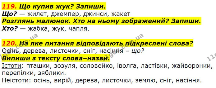119. Що купив жук? Запиши. — ГДЗ Українська мова 2 клас Захарійчук