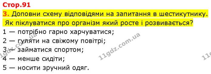 Стор. 91 — 3 — ГДЗ Робочий зошит Пізнаємо природу 6 клас Коршевнюк — ГДЗ Робочий зошит Пізнаємо природу 6 клас Коршевнюк