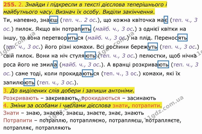 255. 2. Знайди і підкресли в тексті дієслова теперішнього і майбутнього часу. Визнач їх особу. Виділи закінчення. — ГДЗ Українська мова та читання 4 клас Коваленко