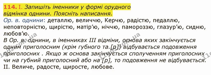114. І. Запишіть іменники у формі орудного — ГДЗ Українська мова 6 клас Заболотний 2019