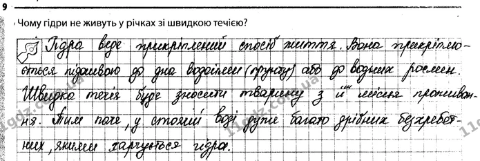 9. Чому гідри не живуть у річках зі швидкою течією? — ГДЗ Робочий зошит Біологія 7 клас Задорожний