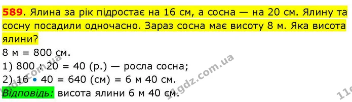 589. Ялина за рік підростає на 16 см, а сосна — на 20 см. Ялину та сосну посадили одночасно. Зараз сосна має висоту 8 м. Яка висота — ГДЗ Математика 3 клас Козак 1-2 ч.