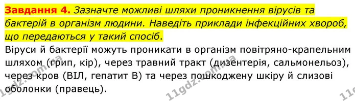 Стор. 84 — 4 — ГДЗ Робочий зошит біологія 8 клас Мирна — ГДЗ Робочий зошит біологія 8 клас Мирна