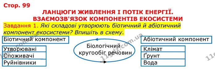 Стор. 99 — 1 — ГДЗ Робочий зошит з Біології 7 клас Яременко — ГДЗ Робочий зошит з Біології 7 клас Яременко