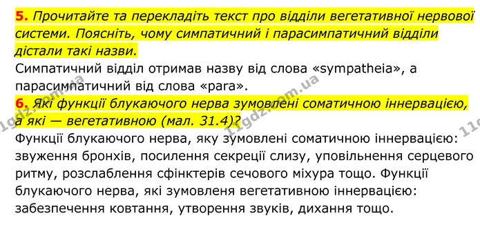 Стор. 151 — 3 — ГДЗ Біологія 8 клас Тагліна — ГДЗ Біологія 8 клас Тагліна