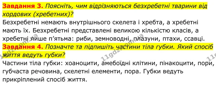 3. Поясніть, чим відрізняються безхребетні тварини від хордових (хребетних)? — ГДЗ Робочий зошит Біологія 7 клас Мирна 2024