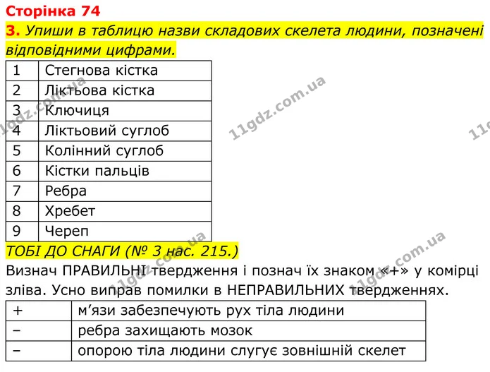 Стор. 74 — 1 — ГДЗ робочий зошит Пізнаємо природу 5 клас Коршевнюк — ГДЗ робочий зошит Пізнаємо природу 5 клас Коршевнюк