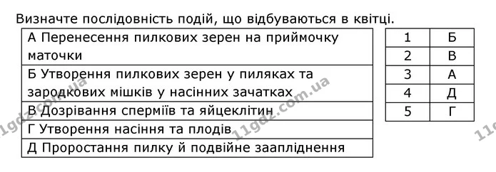 Стор. 59 — 3 — ГДЗ Робочий зошит Біологія 6 клас Соболь — ГДЗ Робочий зошит Біологія 6 клас Соболь